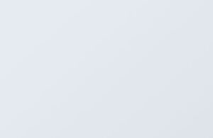 ГОМЕОПАТИЯ 369